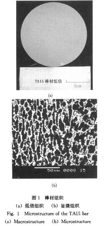 鍛件組織 鍛件組織