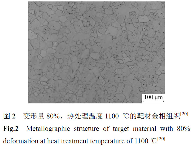 1676087819539388.jpg mt2.jpg