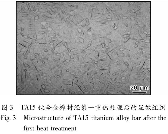 1694558202824315.jpg t3.jpg