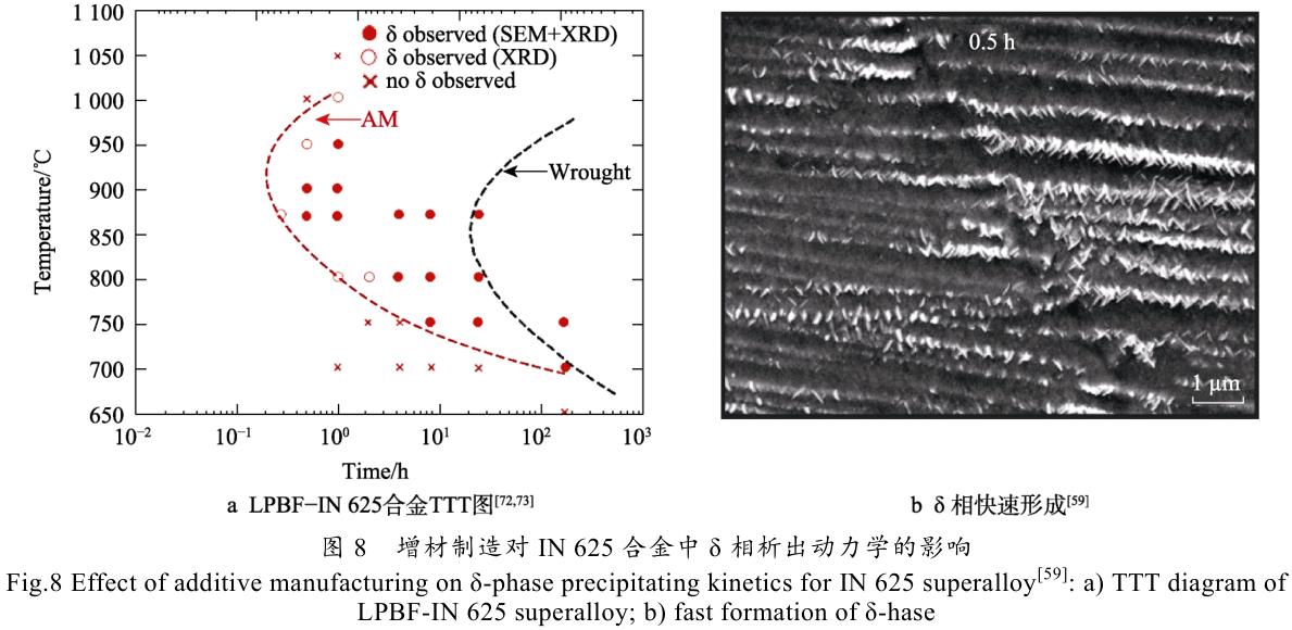 1699483680379764.jpg t8.jpg