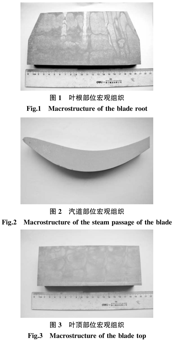 1700692007214206.jpg t1-3.jpg