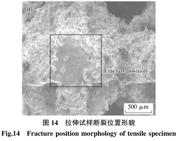 1700692194559521.jpg t14.jpg