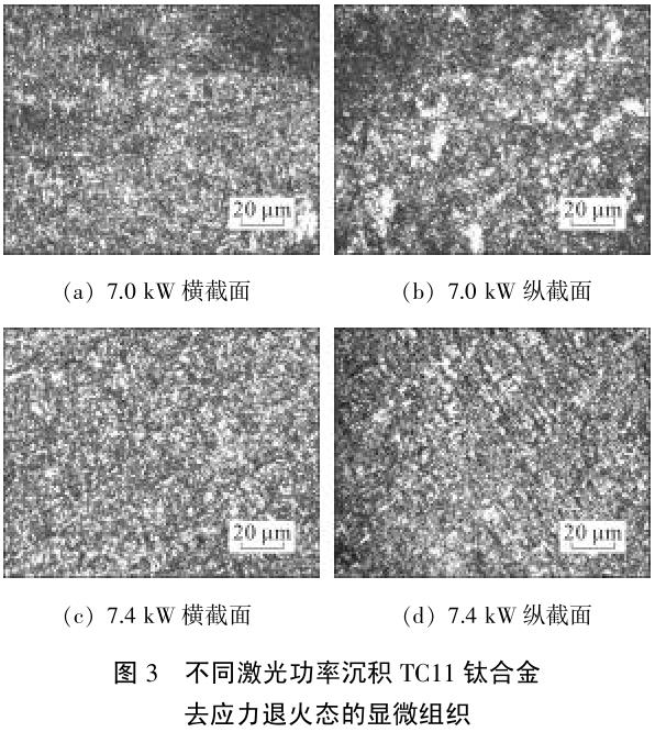 1701660504460695.jpg t3.jpg