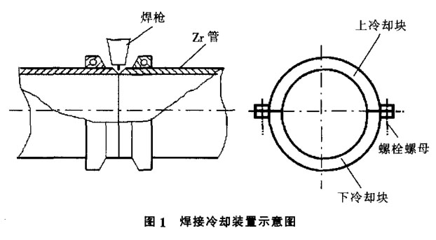 1709630033326234.jpg t1.jpg