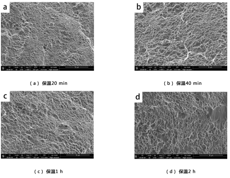 1712891797821464.jpg 5.jpg