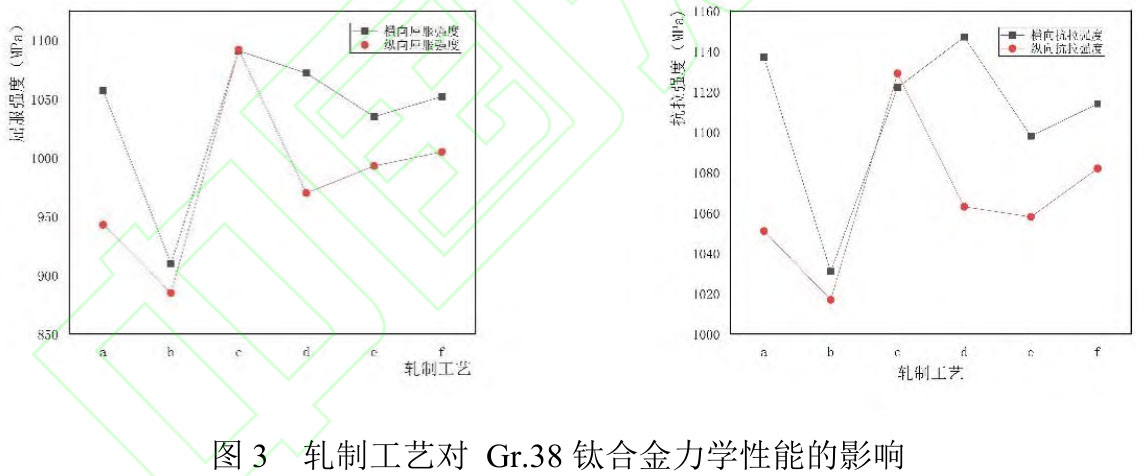 1717407421907109.jpg t3.jpg