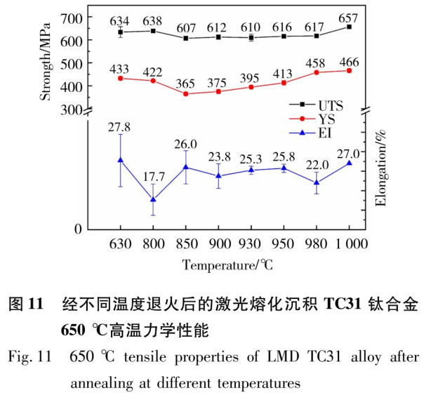 1723799309870845.jpg t11.jpg