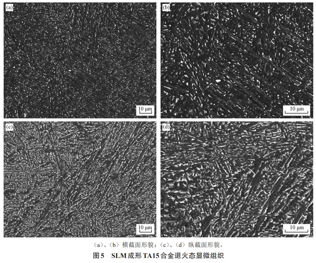 1739676581229466.jpg 5.jpg