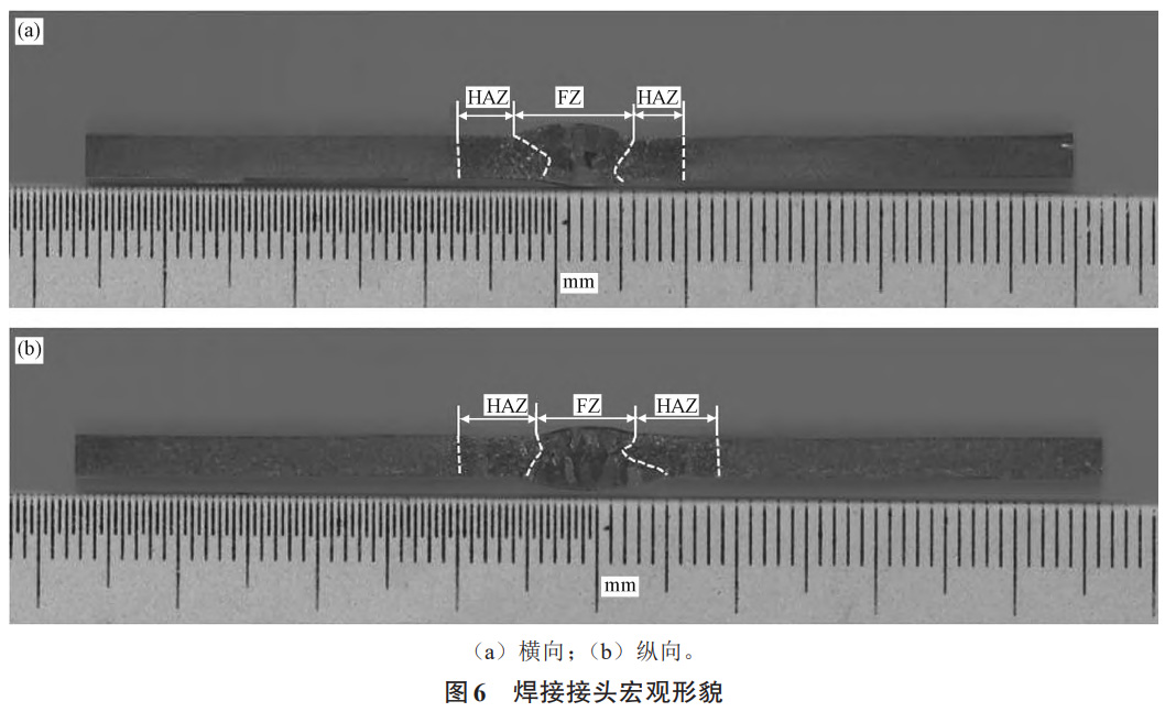 1739676643412350.jpg 6.jpg