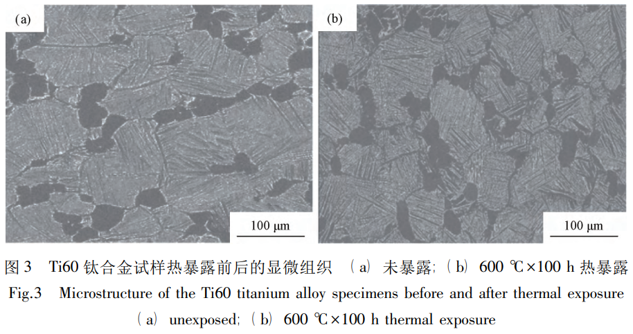 1739699182726691.png 截圖20250216174225.png