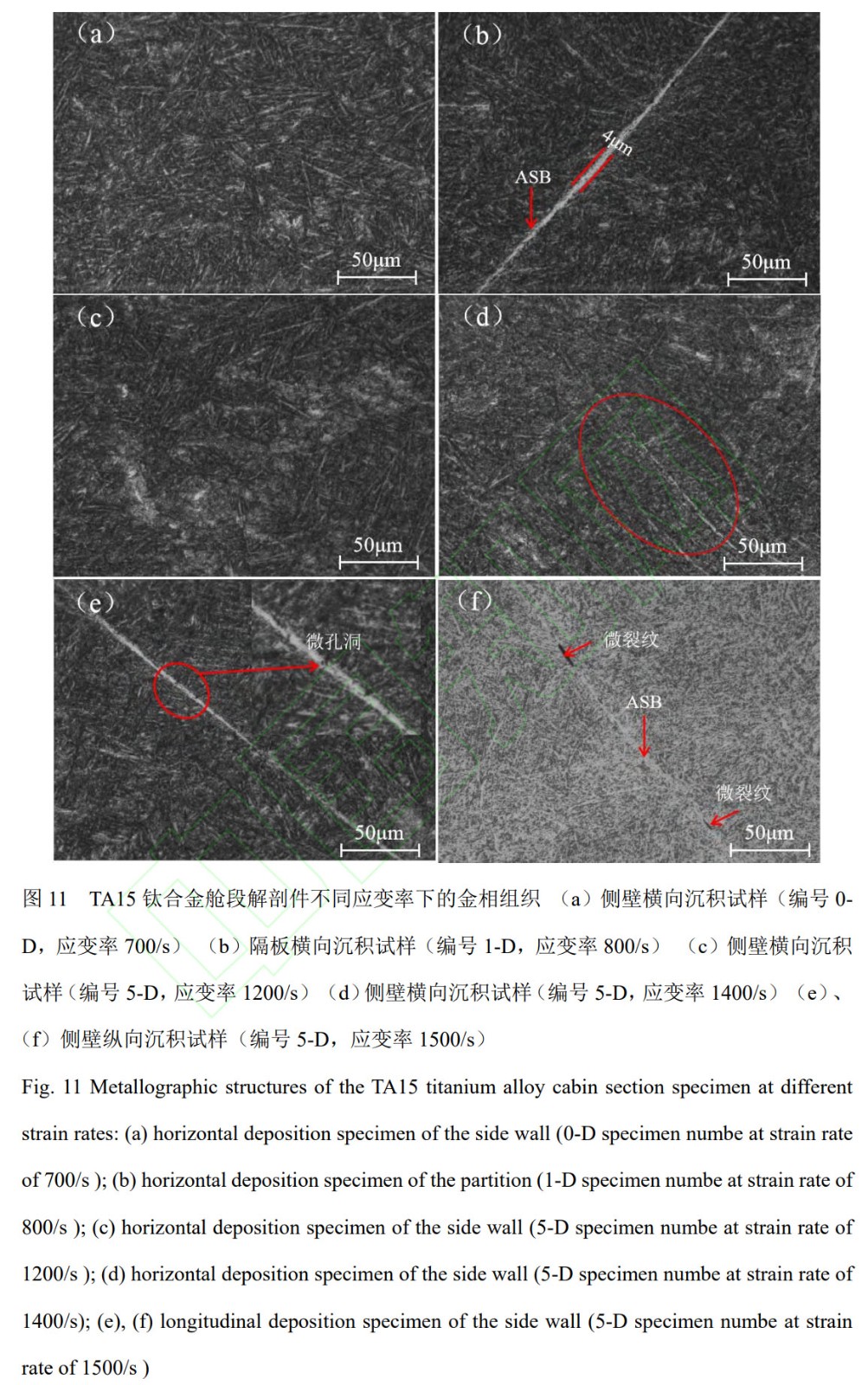 1762342236202215.jpg 未標(biāo)題-3.jpg