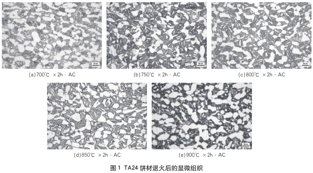 1766452831352568.png 截圖20251223091415.png