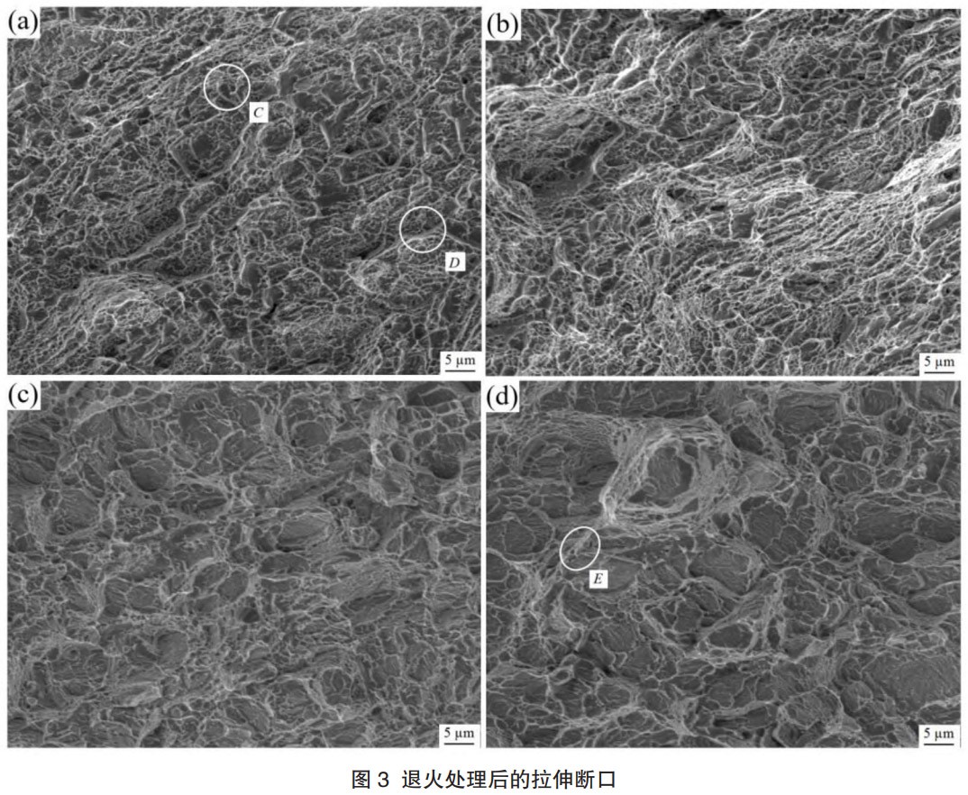 1768793669460494.jpg 3.jpg