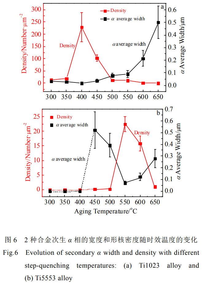 1768822555806992.jpg 6.jpg