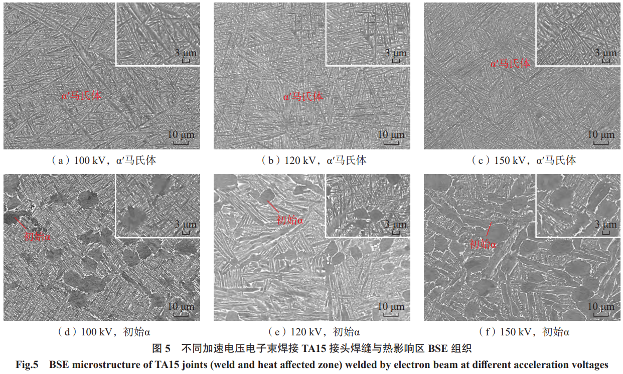 1768825544898344.png 5.png