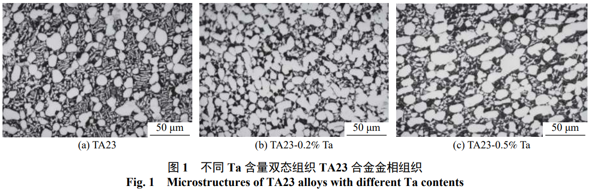 1768911897966159.png 截圖20260120175208.png