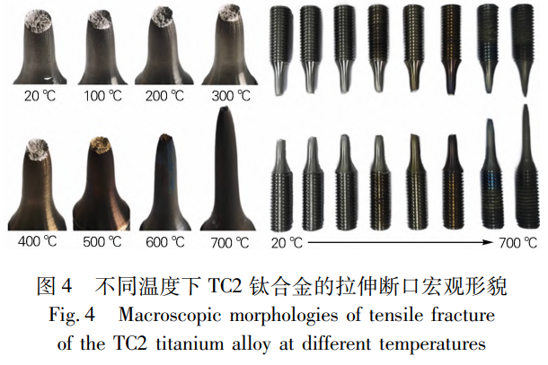 1772013515936694.png 4.png