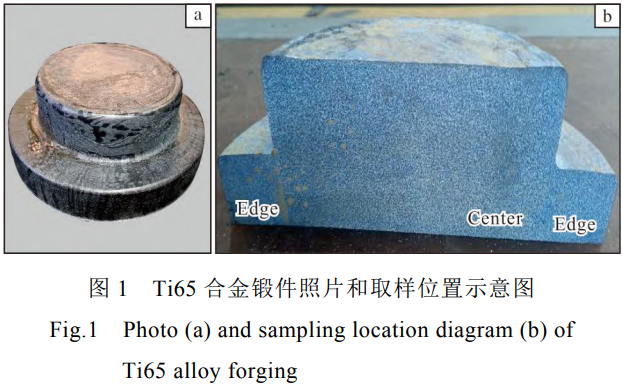 1773281535431751.png 1.png