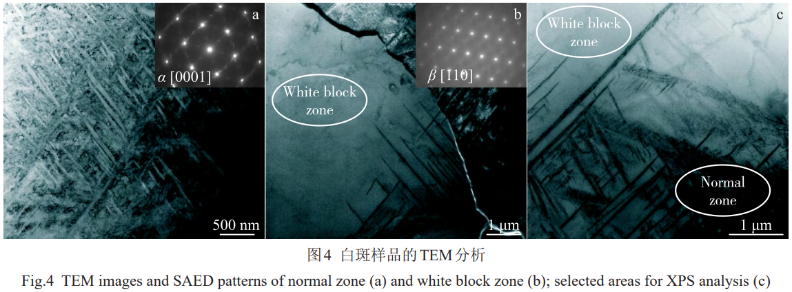 1773307427800717.png 4.png